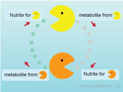 微生物共生技術